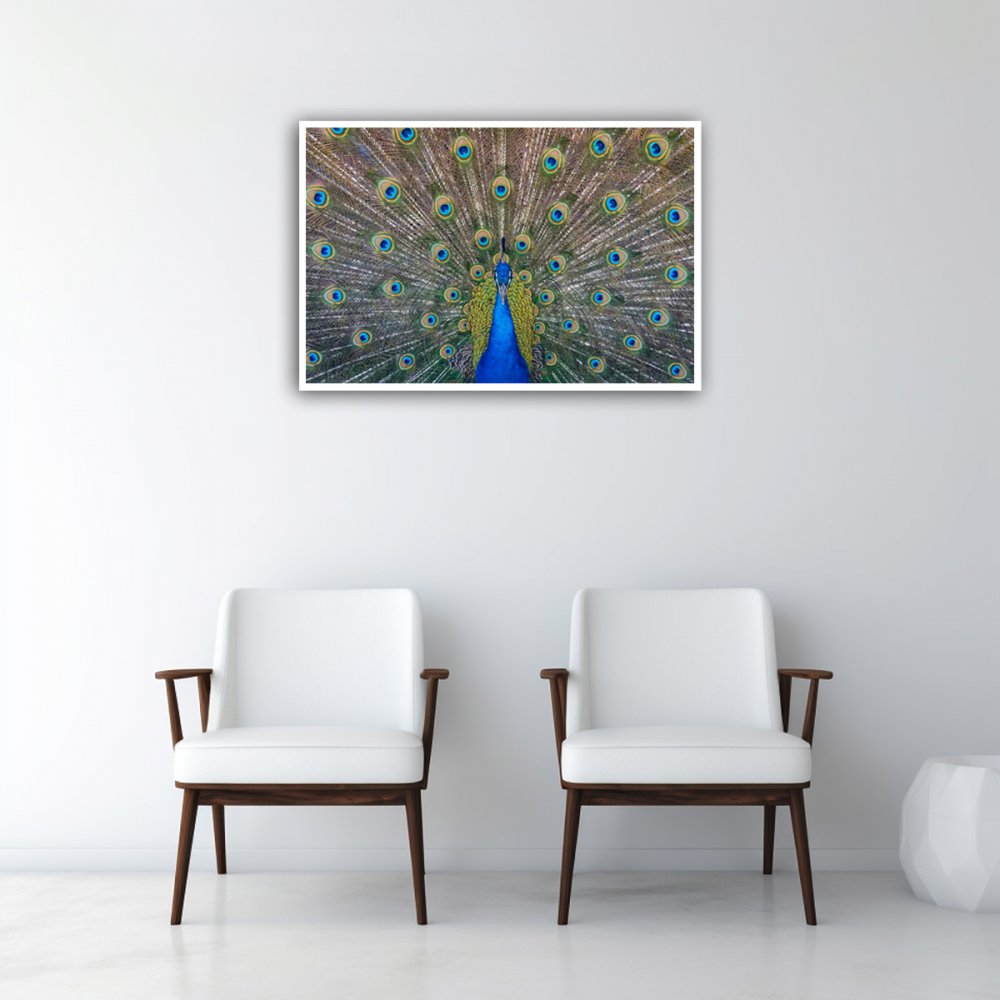 Vastu Frames - Peacock