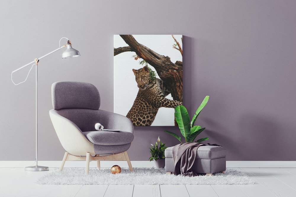 Wildlife Collection 30x40 - Canvas